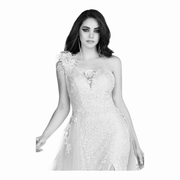 Abby Paris Longs by Lucci Lu Lace Gown with Tulle Overskirt in Ivory/White NWT - Picture 3 of 12